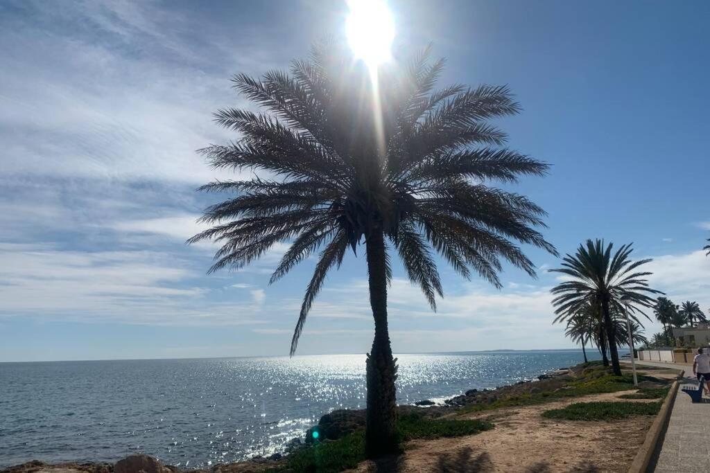 Alicante, Bord De Plage, 3 Chambres Santa Pola Dış mekan fotoğraf
